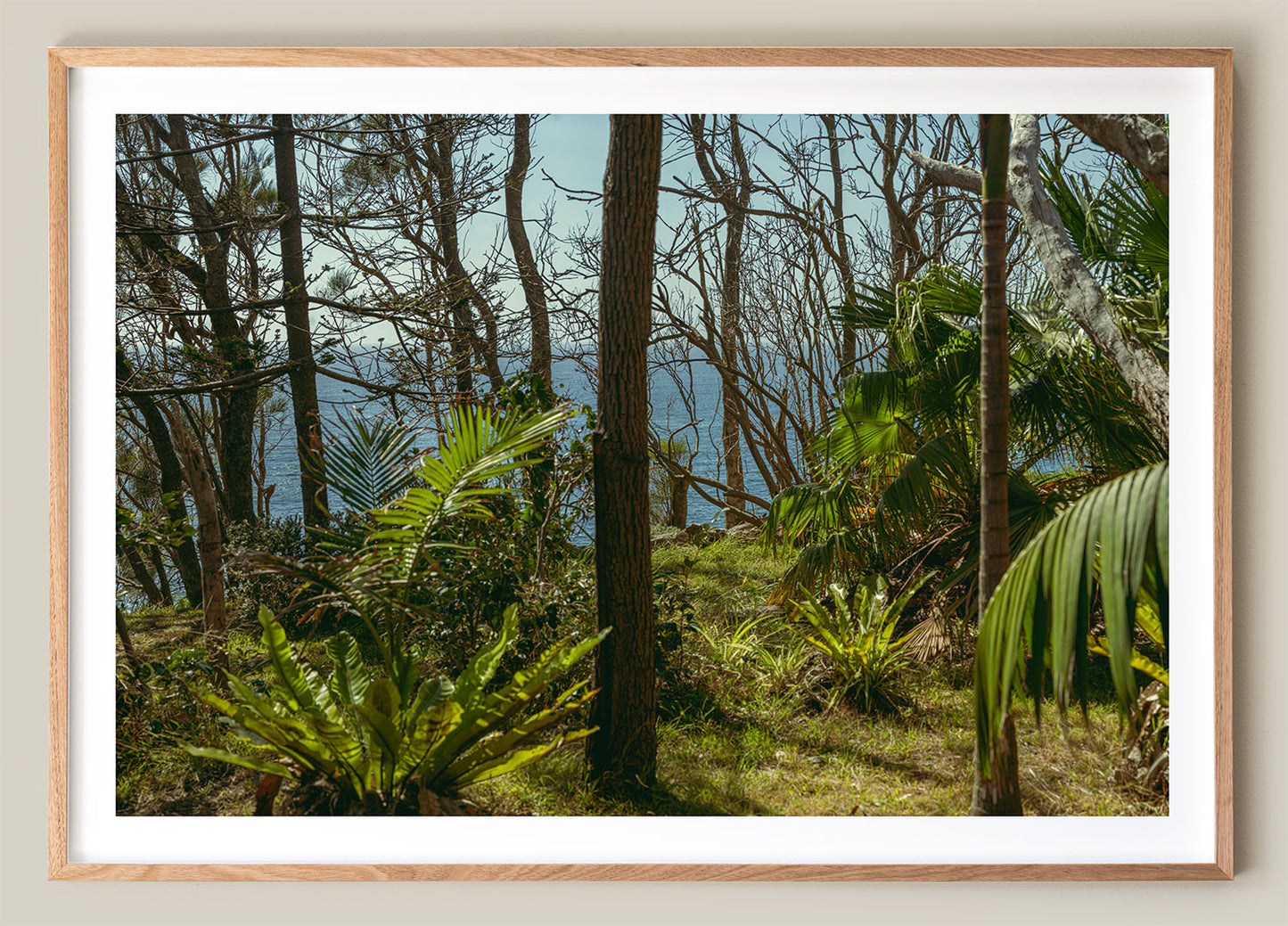 Coastal Jungle