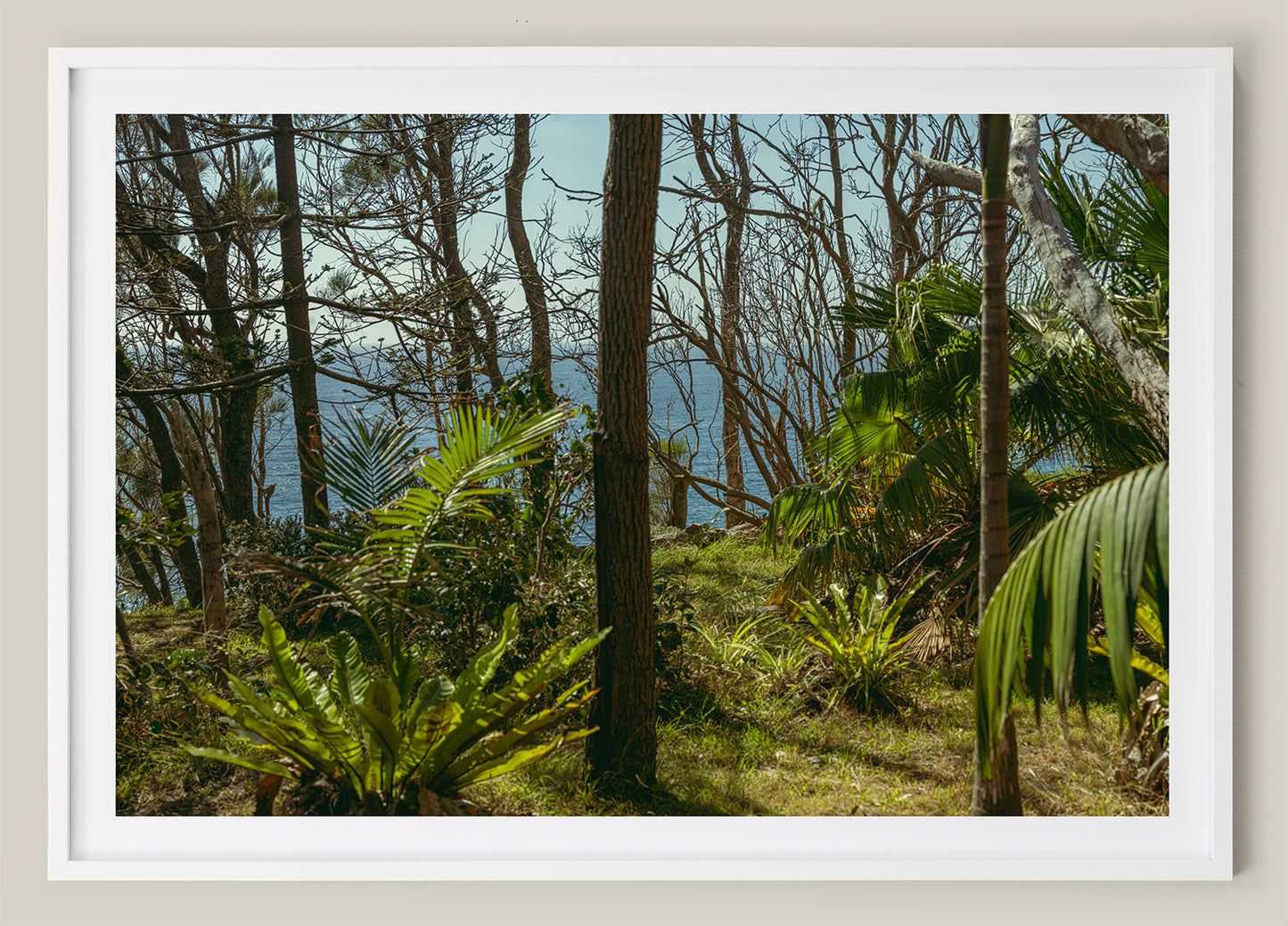Coastal Jungle