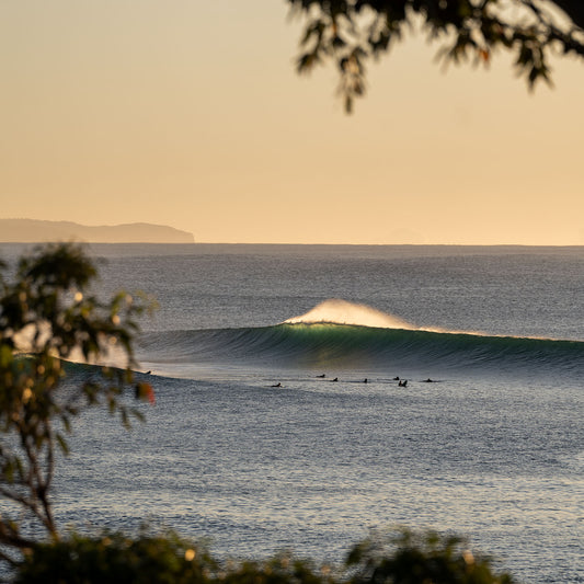 Golf Course Reef, Autumn