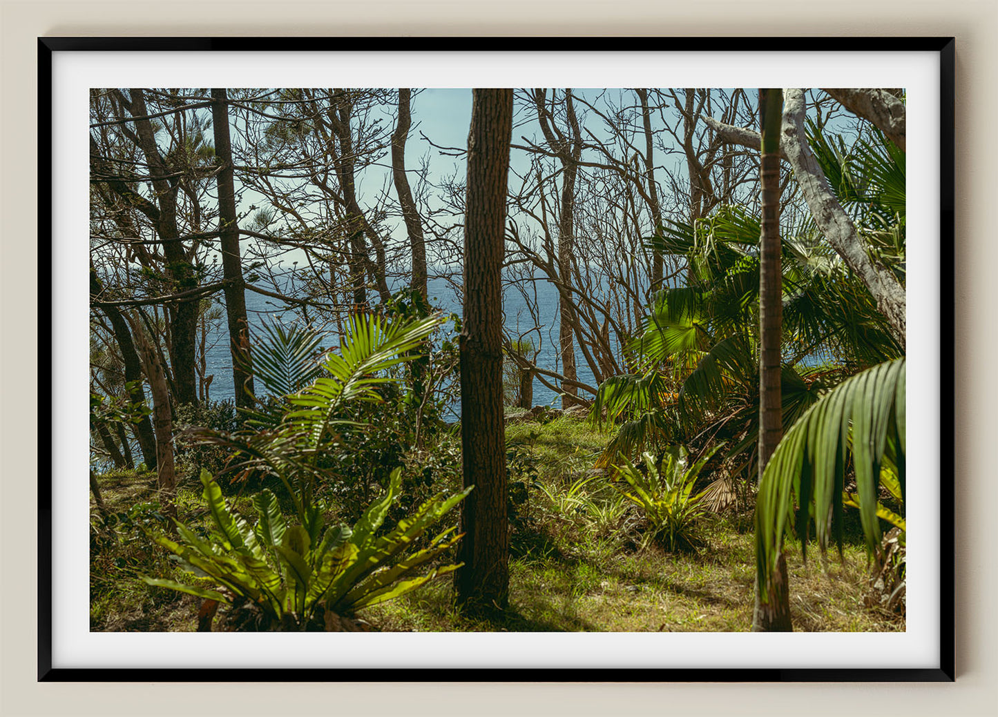 Coastal Jungle