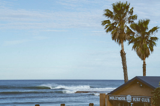 24 x 36 Inch Print - Mollymook Surf Club (artist proof, signed)